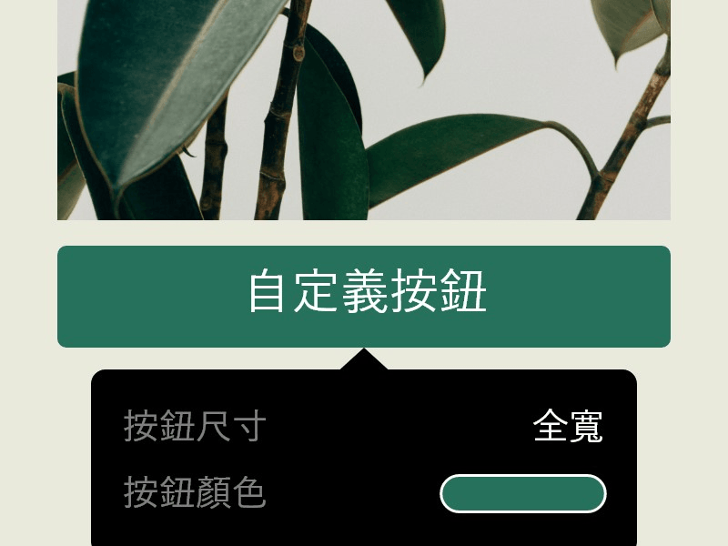 自訂網站按鈕設計 自訂網站按鈕設計